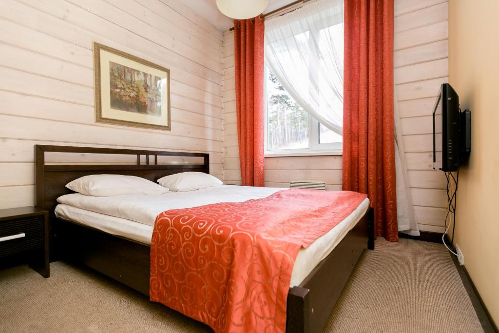 新库兹涅茨克Hotel Shale的一间卧室设有一张带电视和窗户的床。