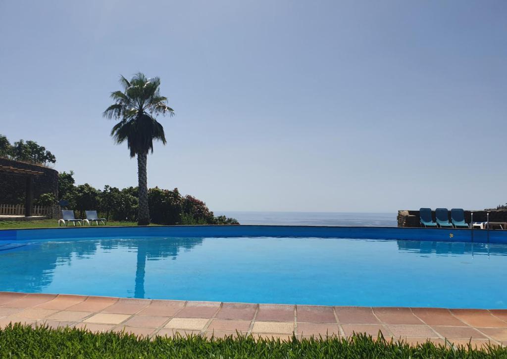 内尔哈德尔布罗之家住宿加早餐旅馆的一座大型蓝色游泳池,拥有棕榈树和大海