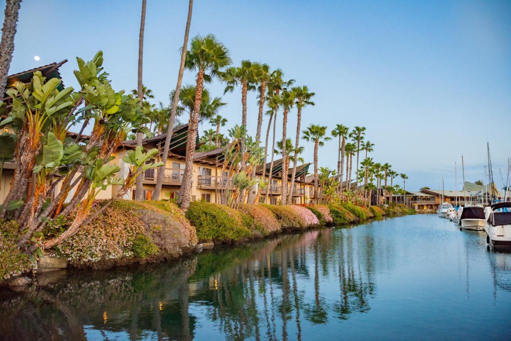 圣地亚哥汉弗莱半月旅馆的一条拥有棕榈树、房屋和船只的运河