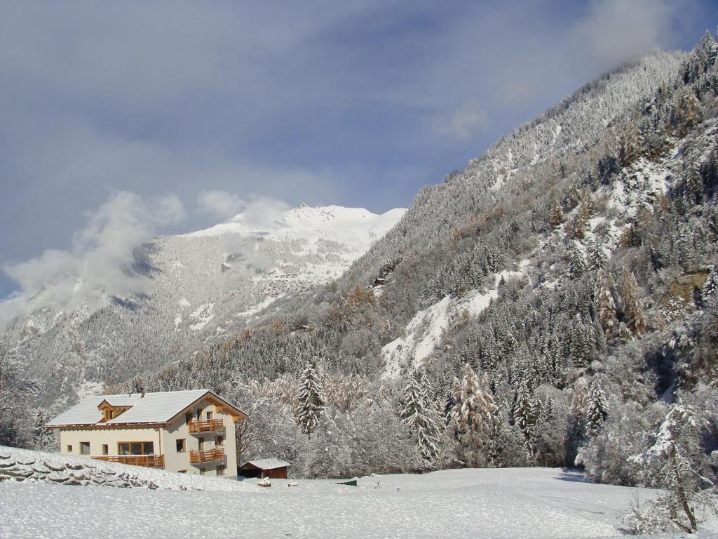 Versegeres Ski and bike - holiday home Verbier Valley的雪中与山间的房子