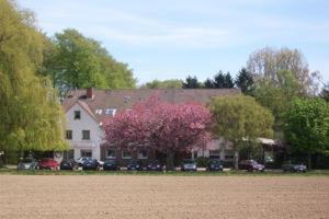 格奥尔格斯马林许特瓦德索赫酒店的前面有一棵粉红色的树的房子