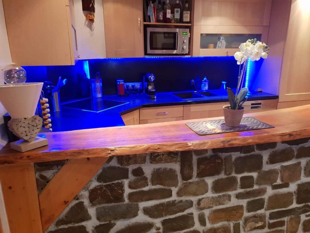 Saint-Dalmas-le-SelvageLe Havre de paix的一间蓝色的厨房,在房间内配有木制台面