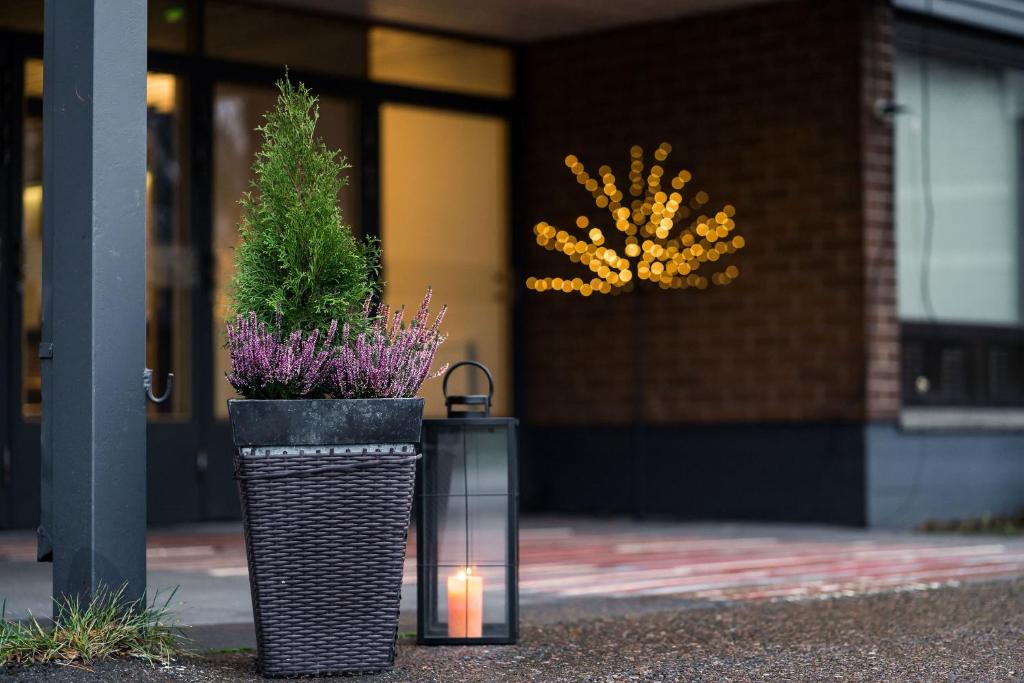 拉赫Budget Hotel Raahe的两棵种植园,在一座建筑前放着鲜花