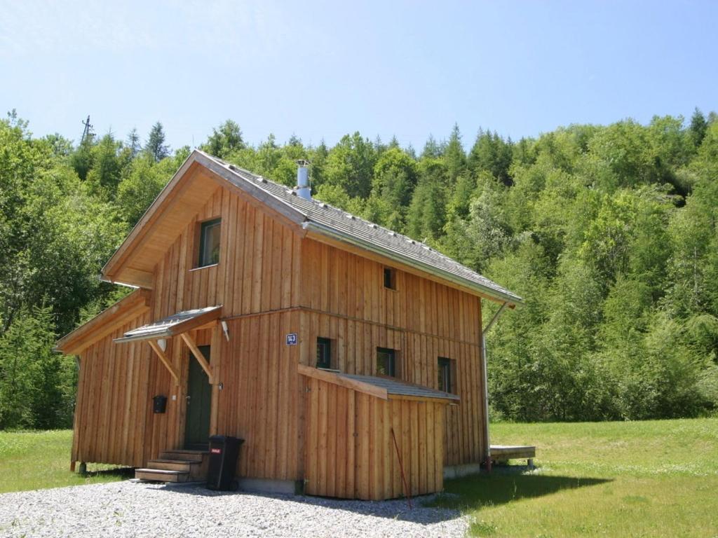 穆尔河畔施塔德尔奥地利小木屋的一座大型木制谷仓,坐在田野里