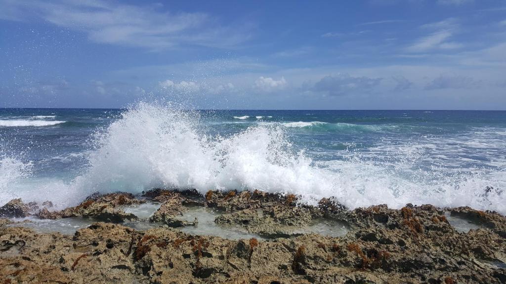 艾库玛尔Riviera Maya Luxury Oceanfront Condo的海浪在海洋的岩石上撞上