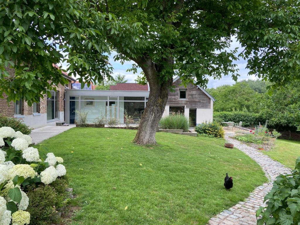 HuldenbergWolfshaegen 180的坐在房子前面的草上的一个黑猫