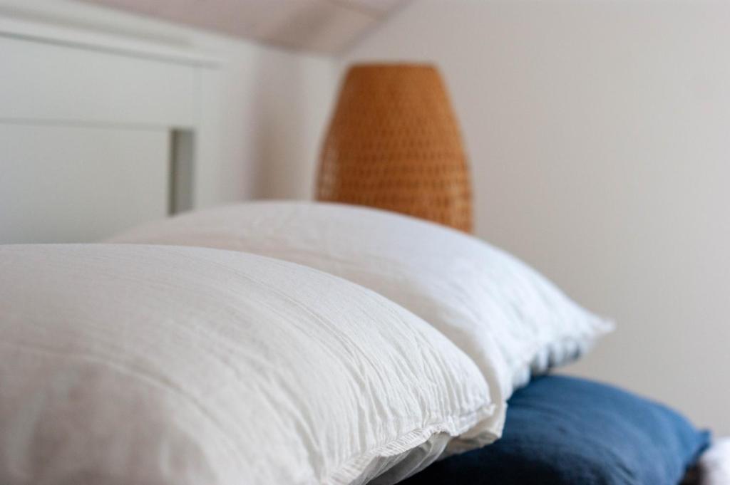 阿尔卑纳赫施塔德Budget rooms Pilatus - Alpnachstad的一张带两个白色枕头的床