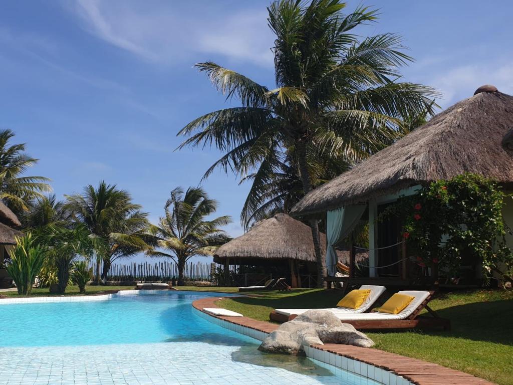 马塞约君悦多瑙河帕莱索旅馆的一个带椅子和棕榈树的游泳池的度假酒店