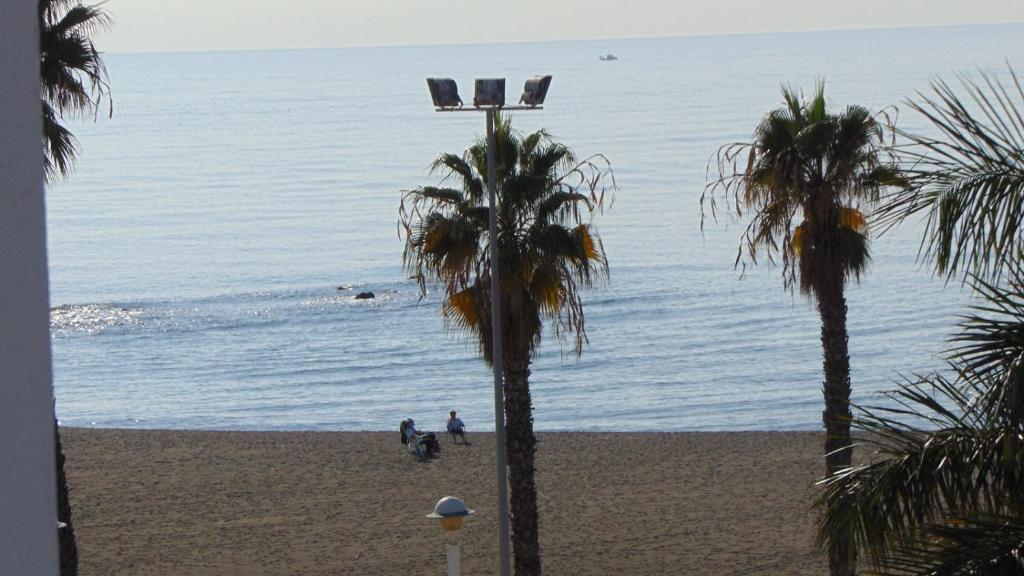 卡莱塔德贝莱斯Terrasol Pirámides Puerto Blanco的享有棕榈树海滩和大海的景色