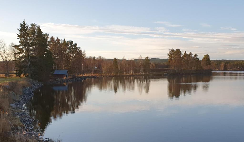 HammerdalHH&S Gåxsjö的享有树木和房屋的湖泊美景