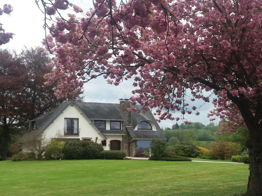斯塔沃洛Elegant villa in Stavelot with fitness playroom的前面有一棵开花的树的房子