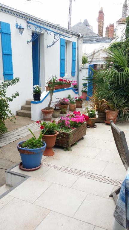 波尔尼克Les Volets Bleus的房屋前种有盆栽植物的庭院