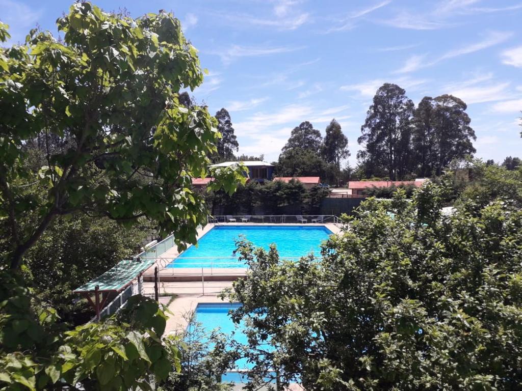 孔斯蒂图西翁Vista Hermosa的树木繁茂的游泳池形象