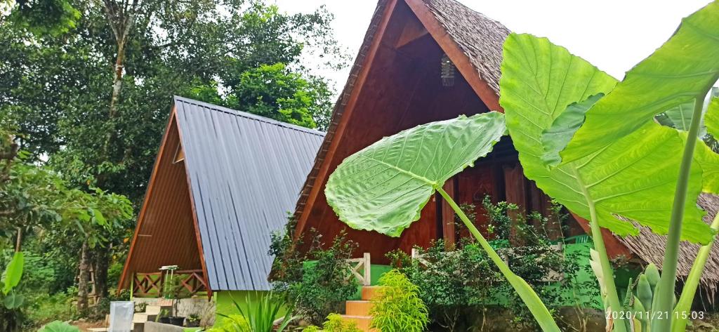 Tangkahan唐卡汉绿色森林酒店的前面有大叶植物的房子