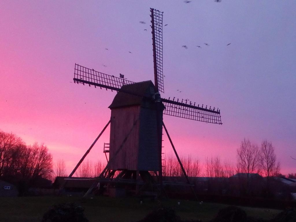 AlveringemVakantiehuis Louiselotte的风车,背景是粉红色的日落