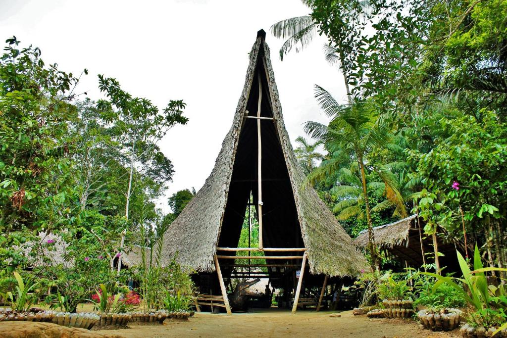 莱蒂西亚塔尼博查山林小屋的森林中间的小小屋