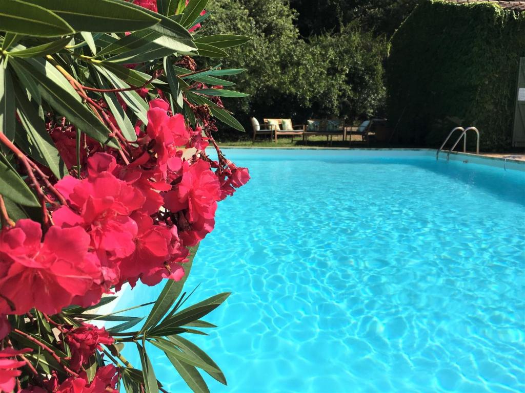 拉加尔代弗雷纳Villa Fontane Cottage的蓝色游泳池旁有红花