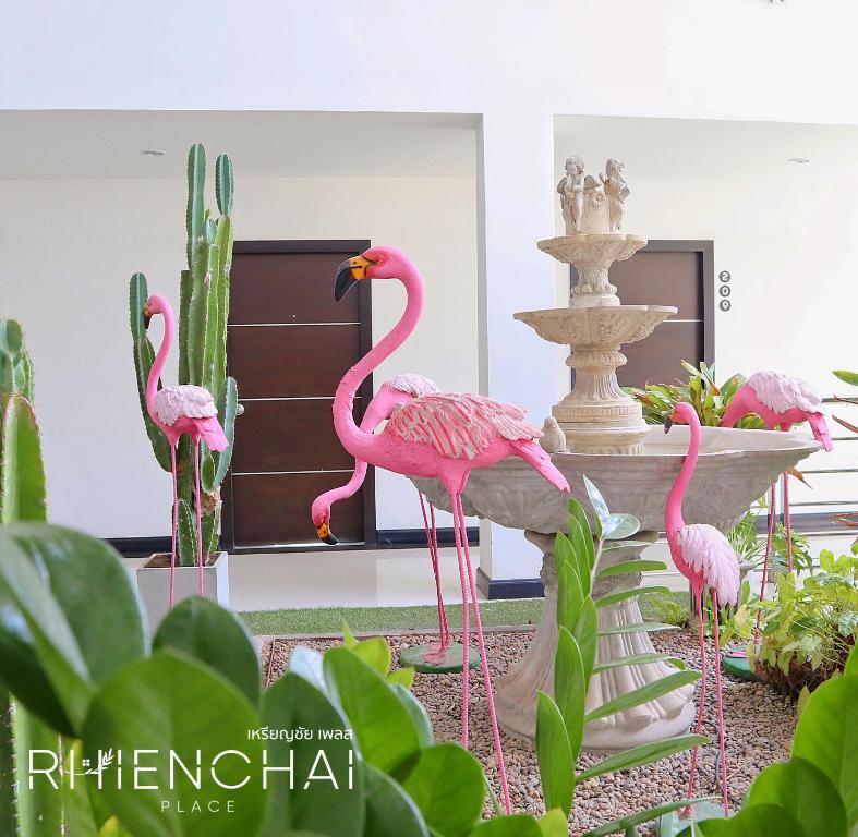 素叻Rhienchai Place Hotel的喷泉前的一组粉红色火烈鸟