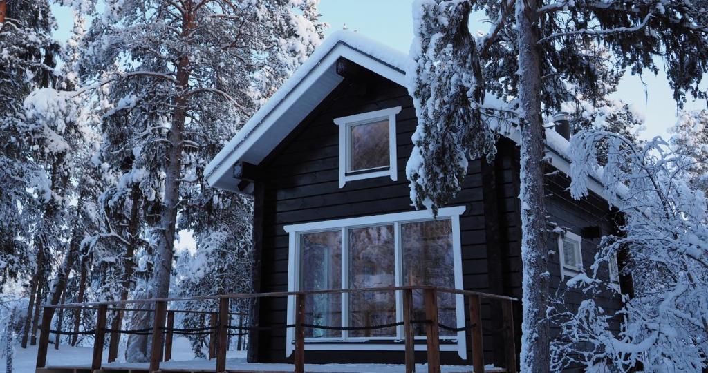 伊纳利LapinTintti Eco-Cabin in Inari的雪覆盖的树林中的小屋