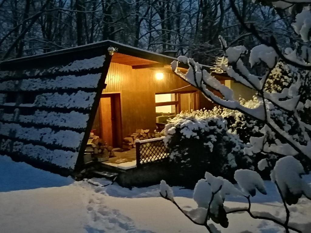 MesznaChałpa na skarpie的夜间树林里的一个雪覆盖的小屋