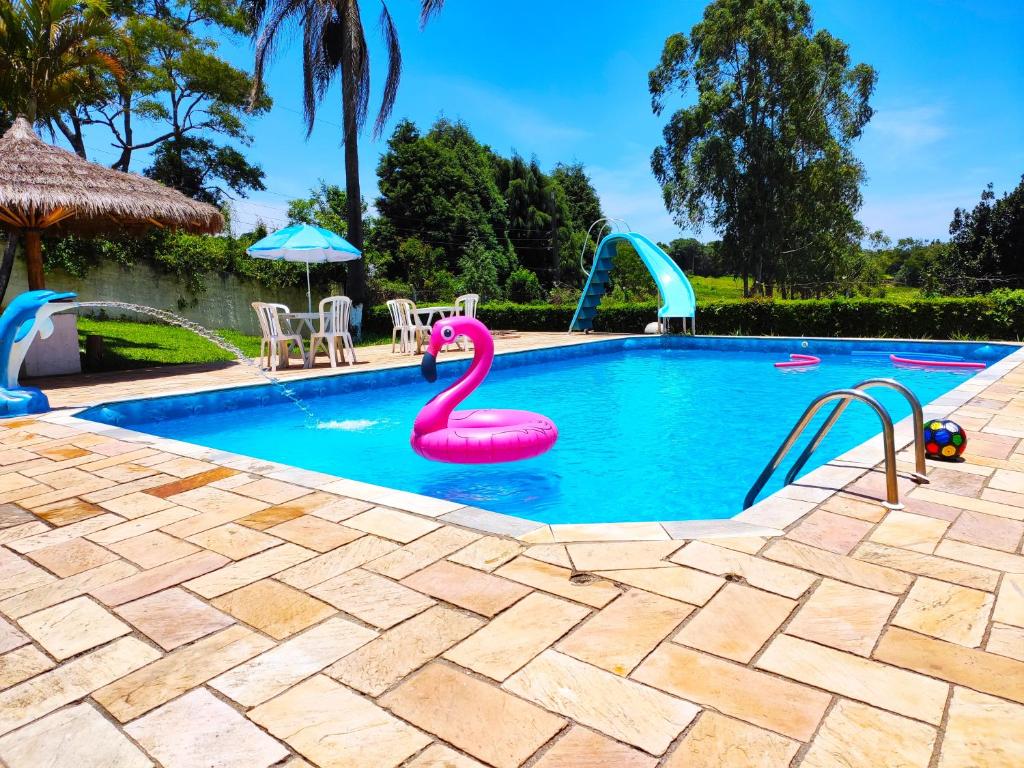 伊比乌纳Casa de Campo Lazer Completo Paraíso de Reservas Naturais em Sp的水中带粉红色火烈鸟的游泳池
