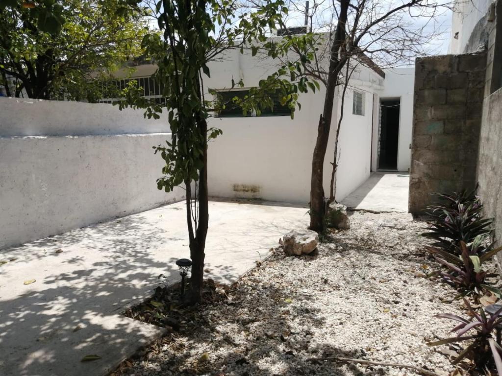 梅里达Casa Colonial Centro的白色建筑前方的庭院,树木繁茂