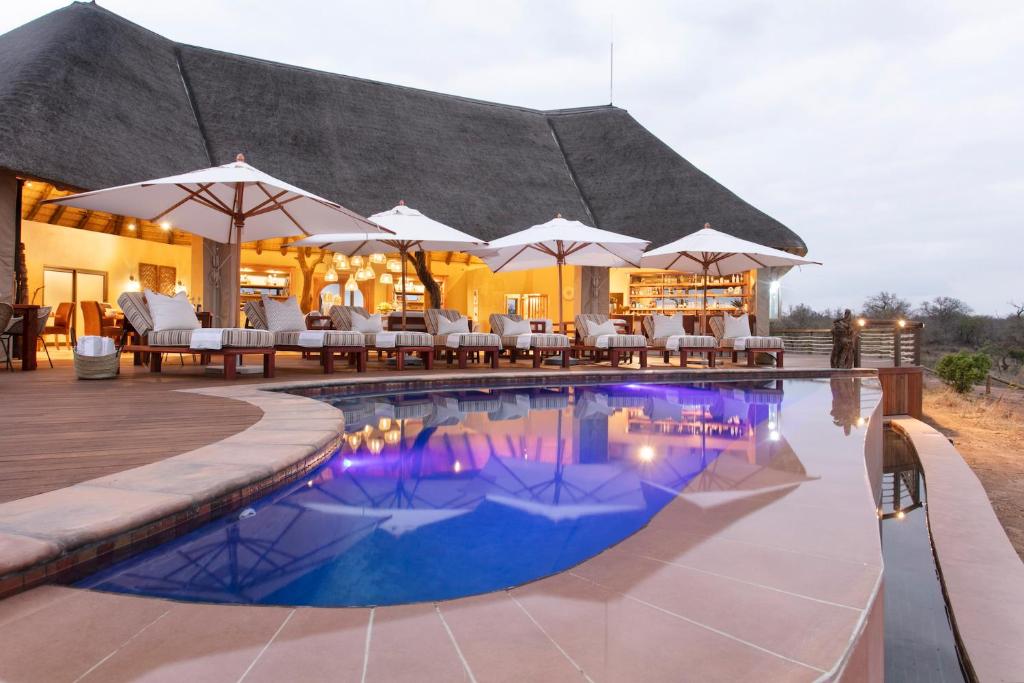 提姆巴瓦提禁猎区Thabamati Luxury Tented Camp的一个带椅子和遮阳伞的度假游泳池