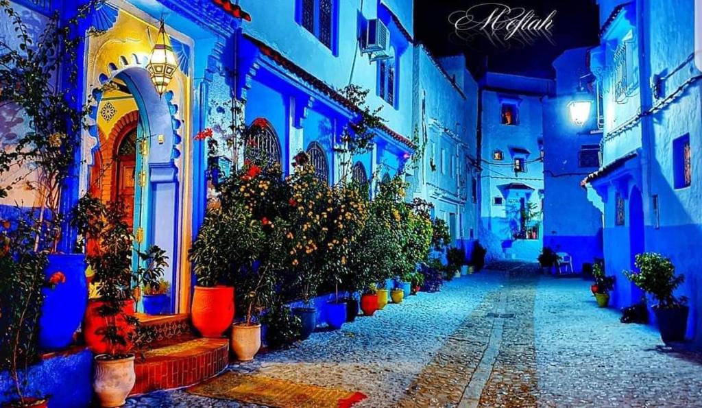 舍夫沙万达雅库摩洛哥传统庭院住宅的夜晚有盆栽植物和建筑的小巷