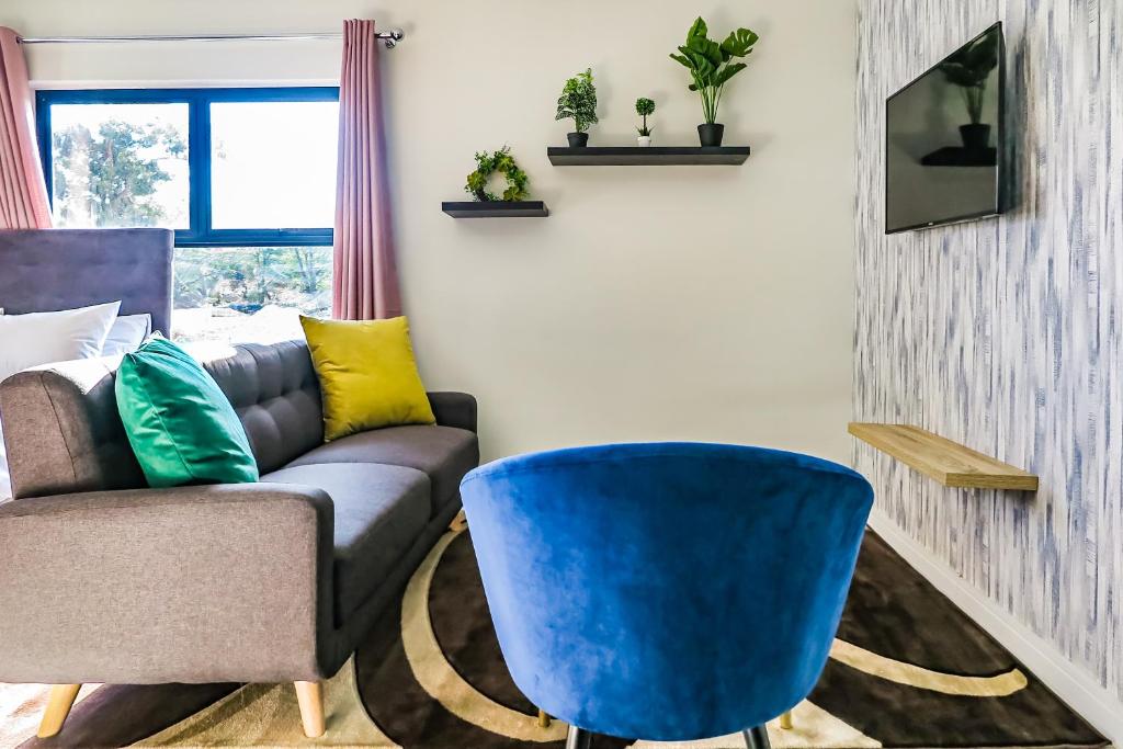 SandownInsaka's Greenlee Apartment - Greenlee Lifestyle Centre, Sandton的带沙发和蓝椅的客厅