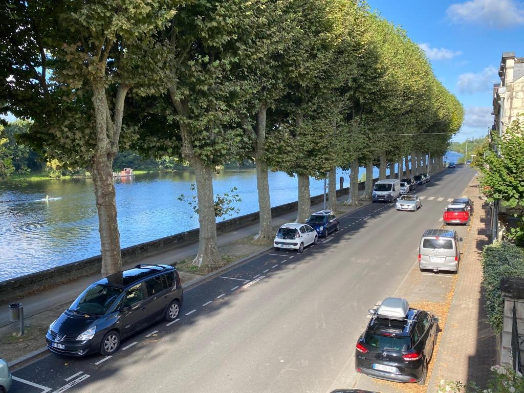 希农Le Charles VII CHINON的一条在河边停有车辆的街道