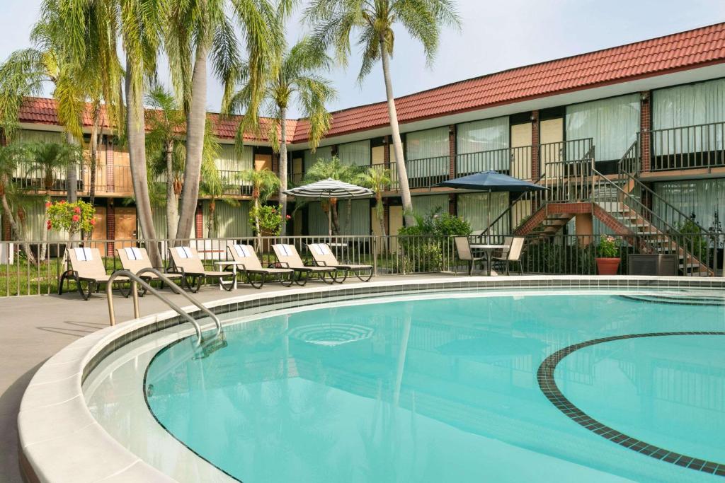 克利尔沃特Days Inn by Wyndham Clearwater/Central的棕榈树酒店前的游泳池