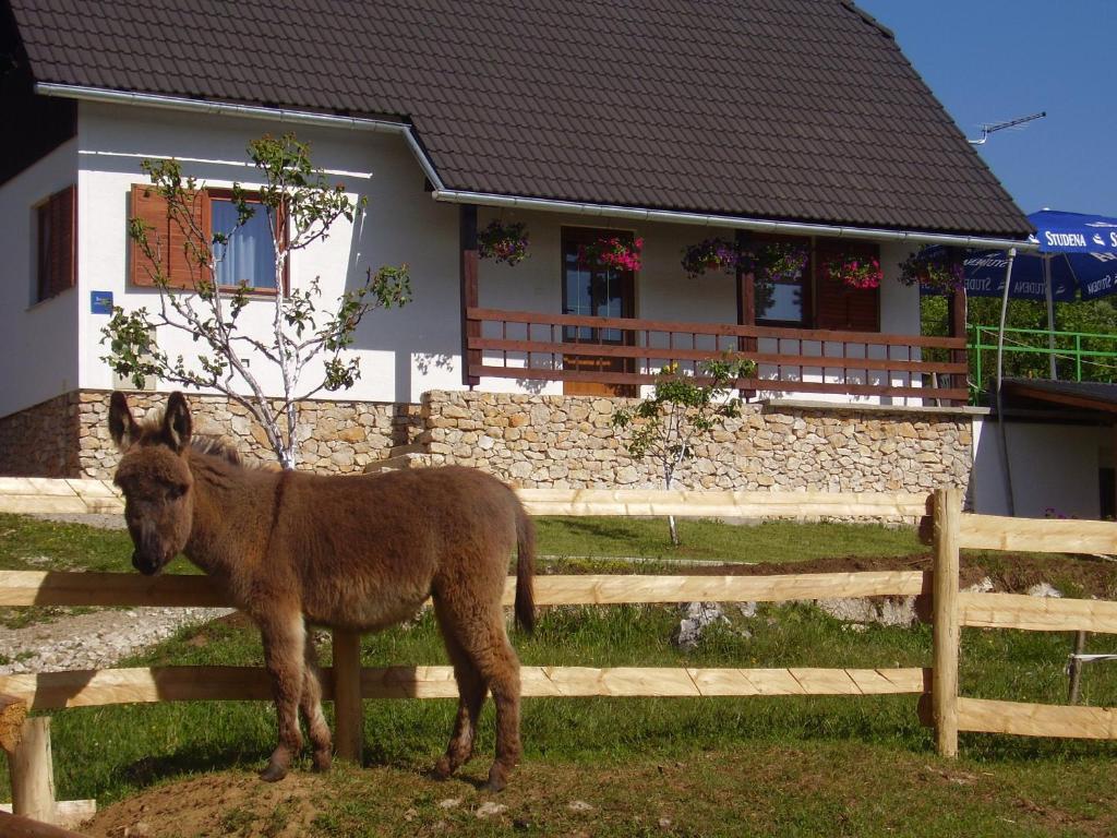 波利亚纳克戈兰公寓酒店的一只驴站在房子前面的围栏旁边