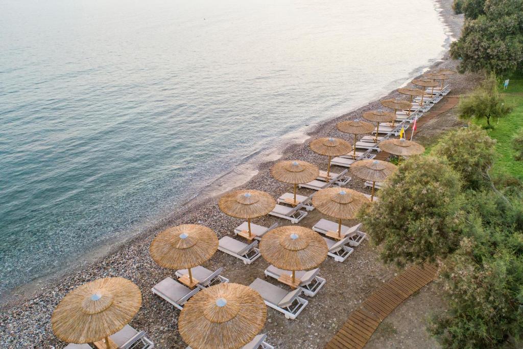 卡罗维西萨迈娜酒店的海滩上方的椅子和遮阳伞