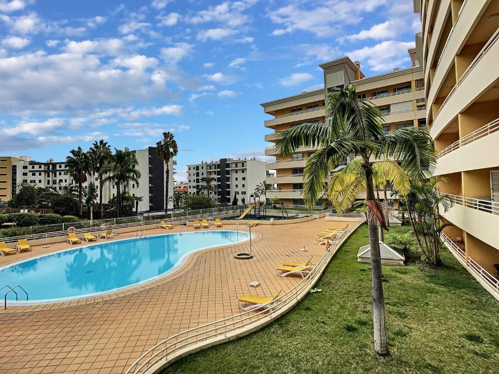 丰沙尔Aidan Apartment by LovelyStay的一座带椅子的游泳池,一座棕榈树旁边