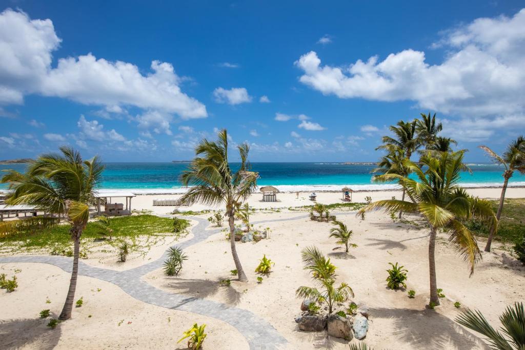 东方湾Orient Beach Hotel的享有棕榈树海滩和大海的景色
