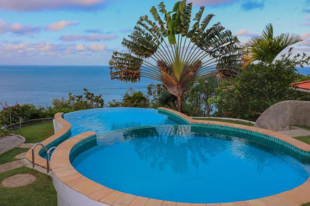 莫罗圣保罗Villa Giulia Morro Residence的一座棕榈树和海洋游泳池