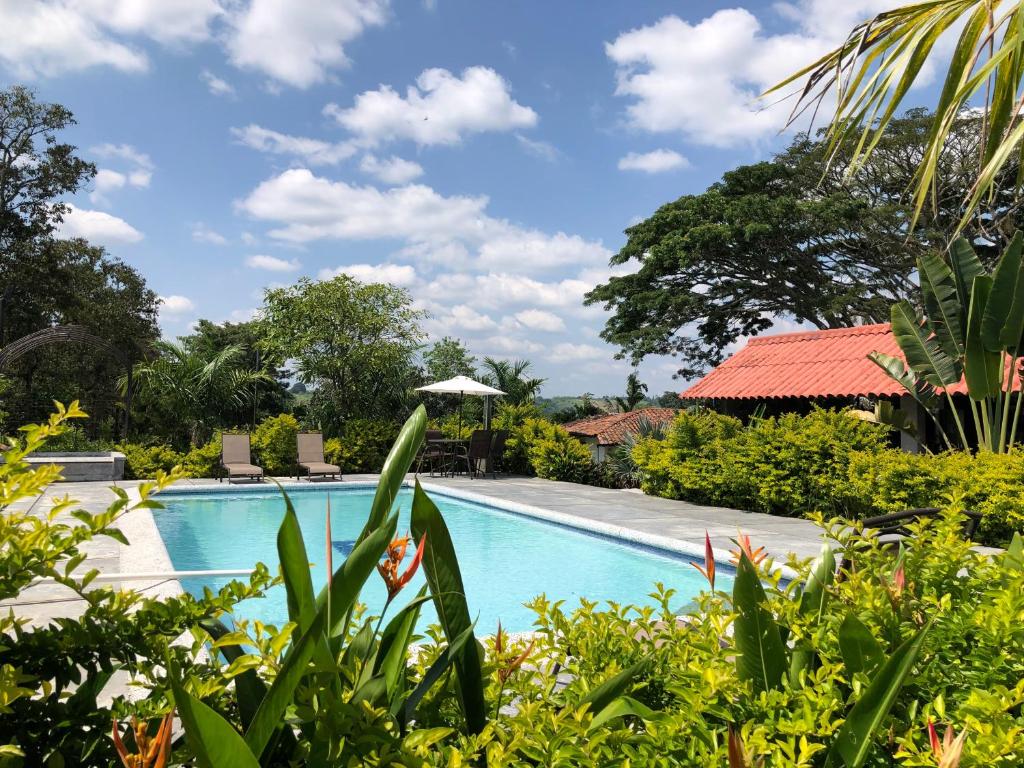 拉特瓦伊达Finca Hotel Brasilia的享有度假村游泳池的景致