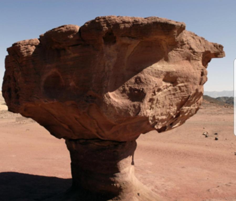 Beʼer OraRed view Beer Ora נוף אדום באר אורה的沙漠中的一个岩石
