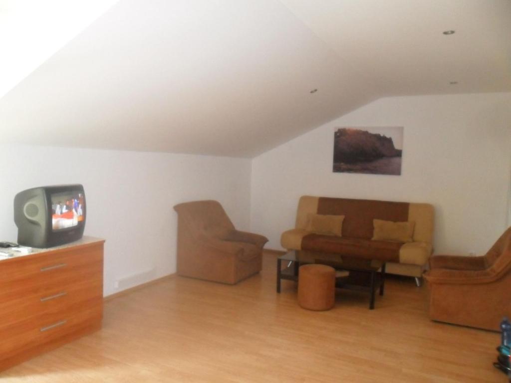 洛帕德Attractive apartment in Dubrovni with balcony的带沙发和电视的客厅