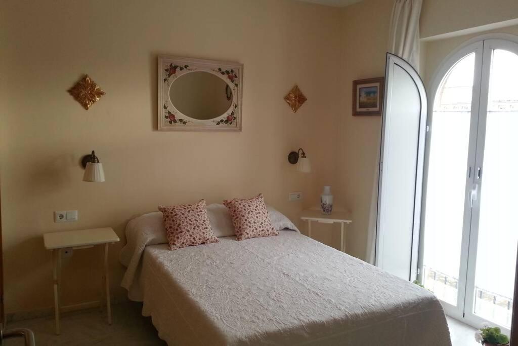 塞维利亚Apartamento clásico, cerca a Jardines de Murillo的卧室配有一张床,墙上设有镜子
