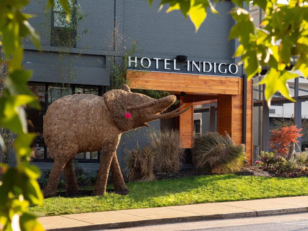 查塔努加Hotel Indigo Chattanooga - Downtown, an IHG Hotel的象像在旅馆前的印度装饰