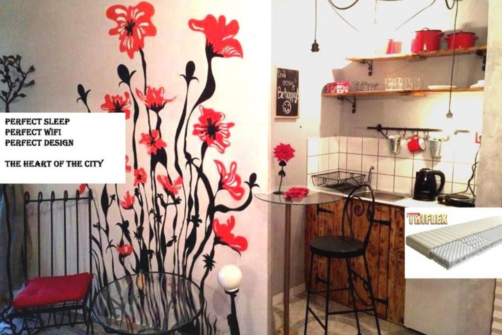 科马罗姆Romantic Studio Apartment in the heart of the city的厨房墙上装饰有红色的鲜花