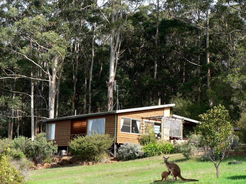 丹马克波姆比娜小屋的相册照片