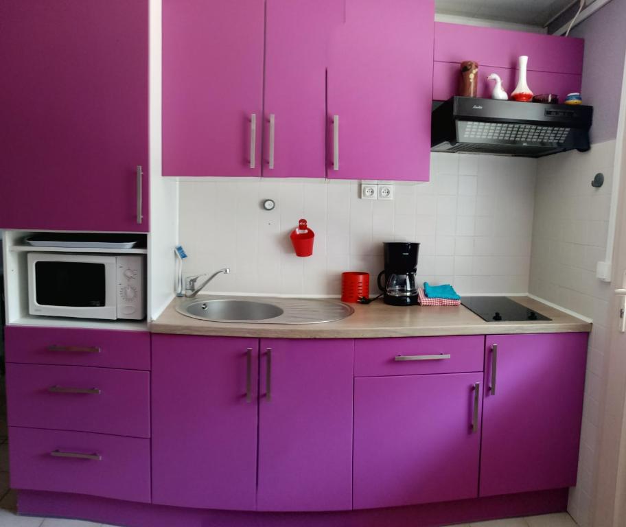 梅拉尔斯La Jaubertie的紫色的厨房配有水槽和微波炉