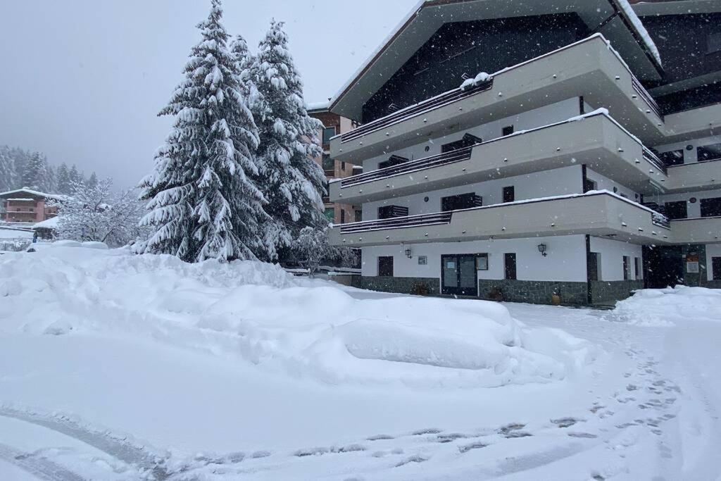 阿帕里卡Il rifugio dello sciatore a 200 m dagli impianti.的建筑物前的雪覆盖的院子