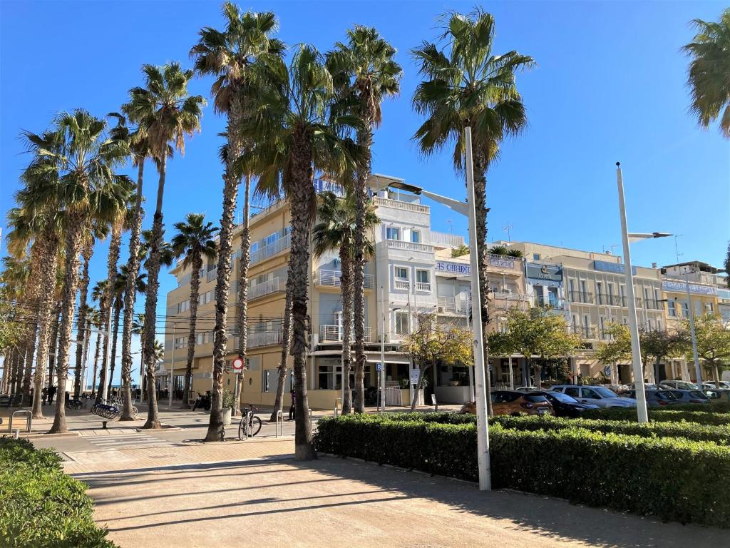 瓦伦西亚Hotel Miramar Valencia的一群棕榈树在一座建筑前