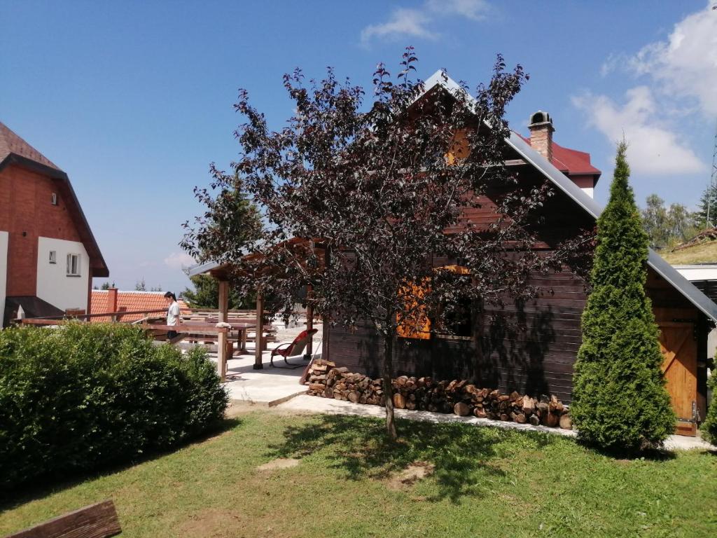 科帕奥尼克kuća za odmor marković的房子前面的小树