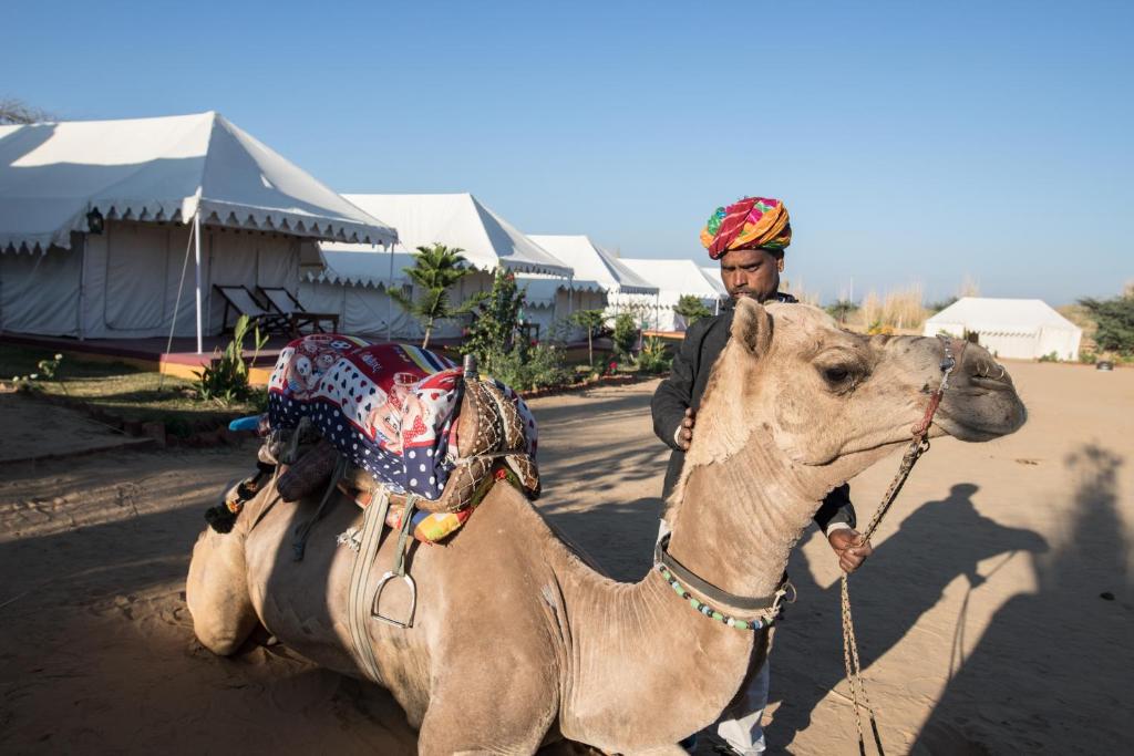 布什格尔Pushkar Adventure Camp And Camel Safari的骑骆驼的男人