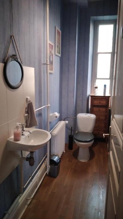 米卢斯Le grand Charpentier的一间带水槽和卫生间的浴室