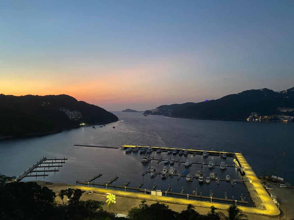 阿卡普尔科Departamento con Preciosa Vista al Mar en Acapulco Diamante的享有码头和水中船只的景色